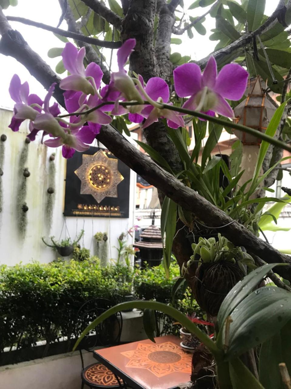 Wannamas Chiangmai Boutique House Hotel Chiang Mai Ngoại thất bức ảnh